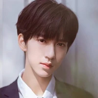 Hạ Tuấn Lâm