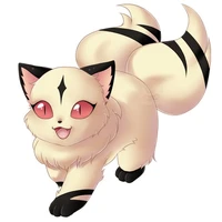 kirara