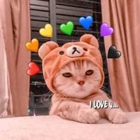 tác giả ngu ngơ
