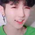 Bảo Bảo