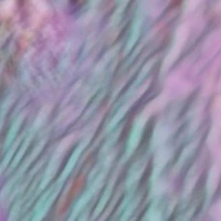 tác giả cute phômaique