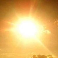 Hệ thống 099 (của Meiko)