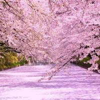 Hệ thống 001 (của Kanao)