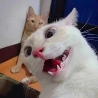 Hệ thống
