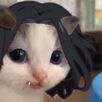 Baji