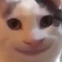 TG đang quê