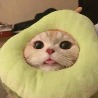 Bơ