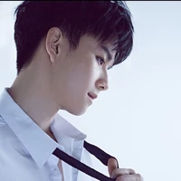 Tất Bồi Hâm ( trc khi xuyên )