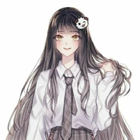 Y/N