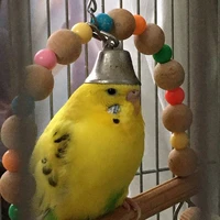 đẹp lắm hay gì mà nhìn