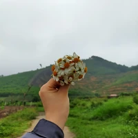 All học sinh