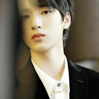 Nghiêm Hạo Tường