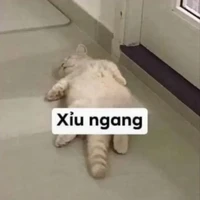 tác giả mắc bệnh lười