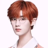 Đinh Trình Hâm(🦊)