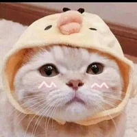 tiểu yêu