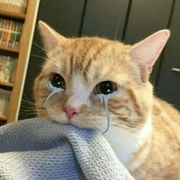 All