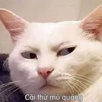 Tác Giả
