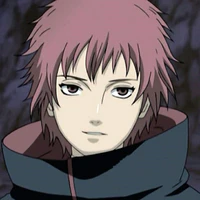 Sasori Todoroki