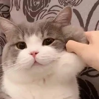 Tác giả cute và quyền lực