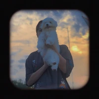 t/g nhảm shit đây