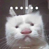 Tác giả ngứa đòn