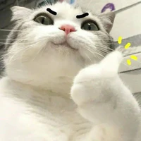t/g