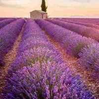 Nhân vật phụ nữ