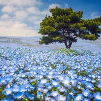 Nhân vật phụ nam