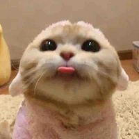 Hận đời vô đối