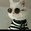 tác giả cute hạt me