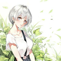 Hạ An