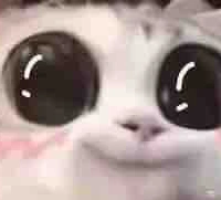 Nhazz-Tác giả