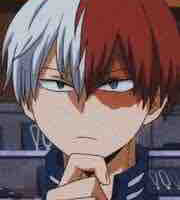 Shouto Todoroki 