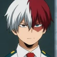 Todoroki Shoito