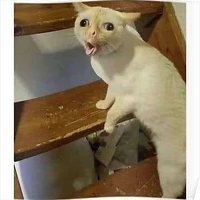 tác giả thiểu năng