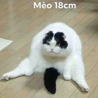 Tui ad nè