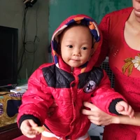 chuột cute