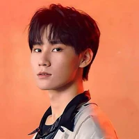Trương Chân Nguyên ( anh)