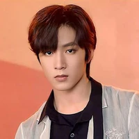 Lưu Diệu Văn ( anh)