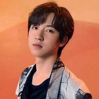 Hạ Tuấn Lâm ( anh)