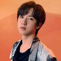 Hạ Tuấn Lâm ( anh)