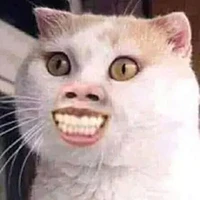 Hú le nai tu mịt diu