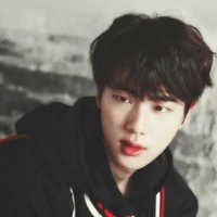 Kim Seokjin(Jin)
