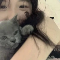 Nguyễn Trần Ngọc Linh