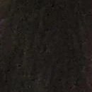 nv phụ