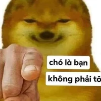 Con chó