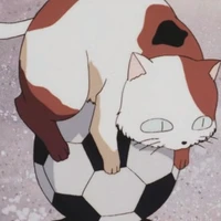 buyo
