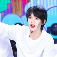 Đinh Trình Hâm