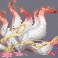 cửu vĩ hồ -kitsu