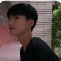 Lê Tú Vỹ